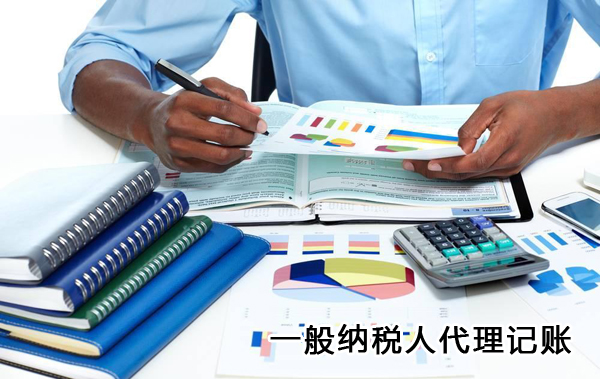 一般納稅人記賬報(bào)稅